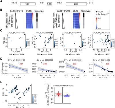 Mouse Oocytes, A Complex Single Cell Transcriptome